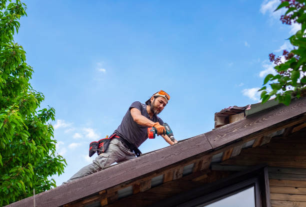 Best Metal Roofing Installation  in North Mankato, MN